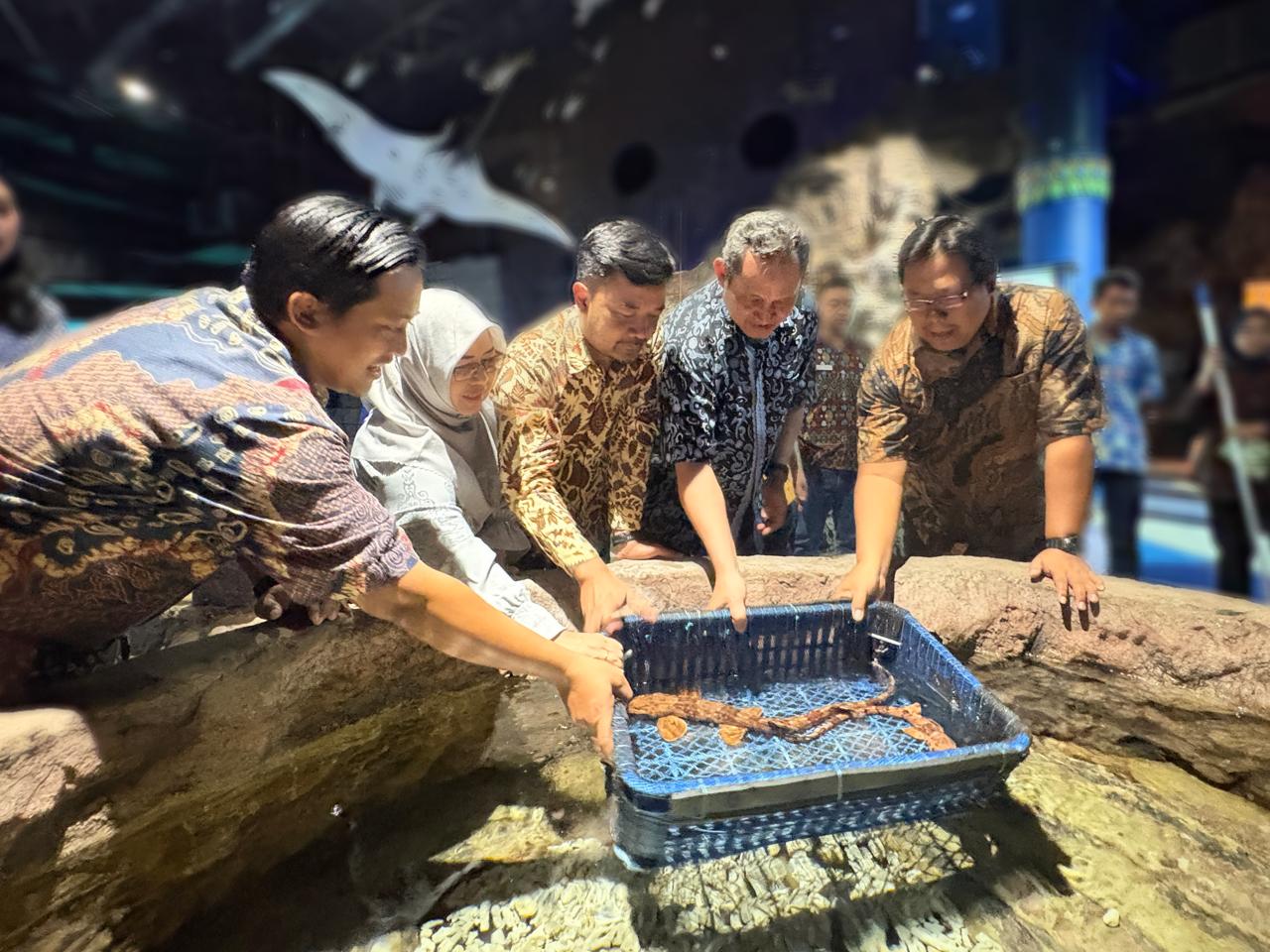 Sea World Ancol Hadirkan Biota Baru Ikan Hiu Berjalan